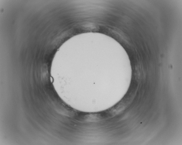 X0000074950320200609291854