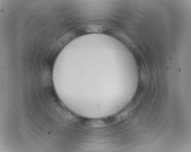 X0000074950322200609291854