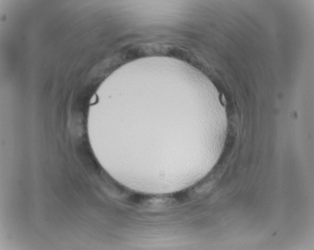 X0000074950323200609291854