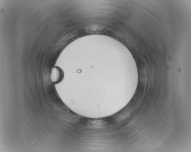 X0000074950324200609291854