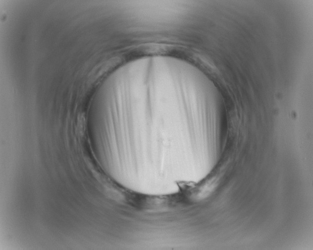 X0000074950325200609291854