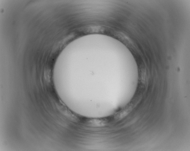 X0000074950326200609291854