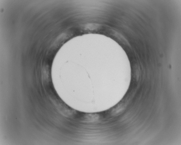 X0000074950328200609291854