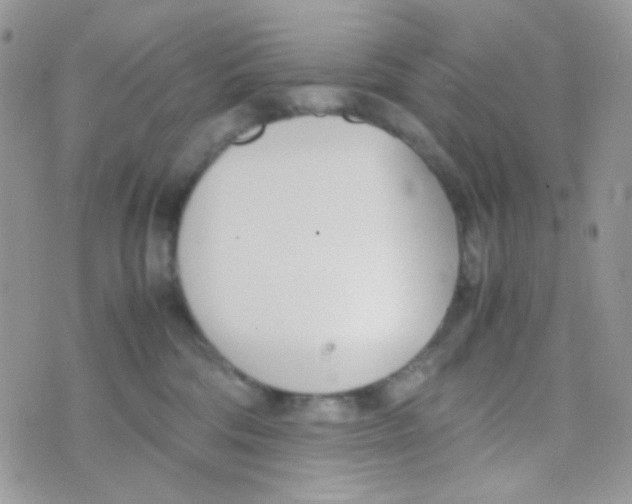 X0000074950330200609291854