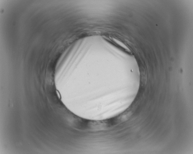 X0000074950331200609291854