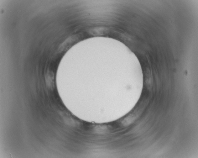 X0000074950332200609291854