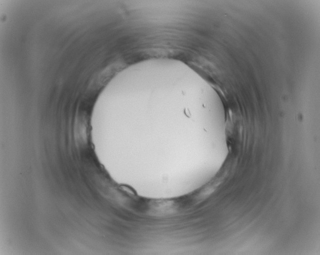 X0000074950334200609291854