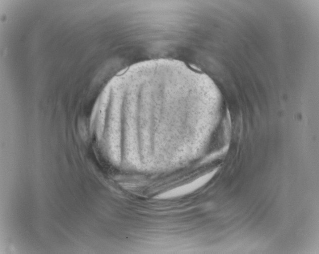 X0000074950335200609291854