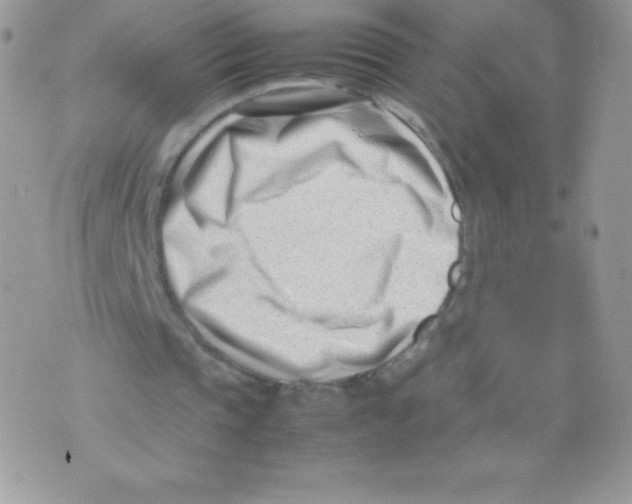 X0000074950337200609291853