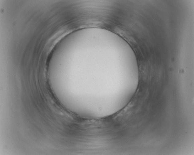 X0000074950338200609291853