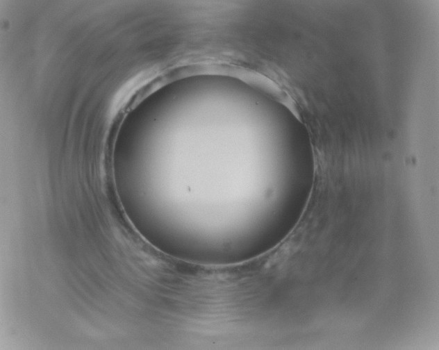 X0000074950340200609291853