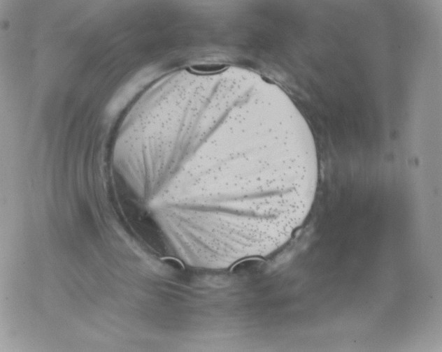 X0000074950341200609291853