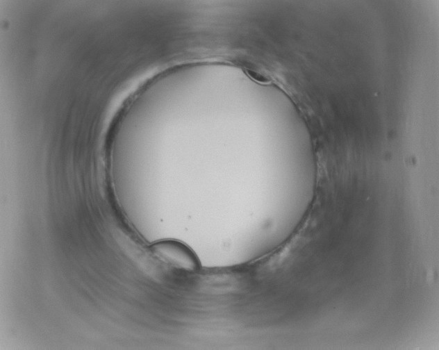 X0000074950342200609291853