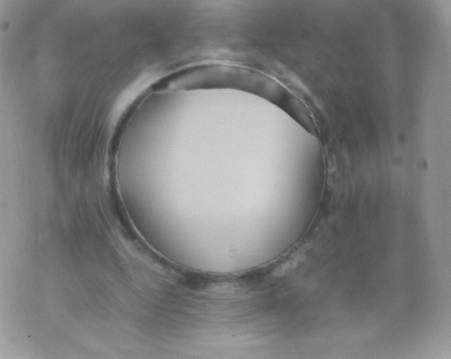 X0000074950344200609291853