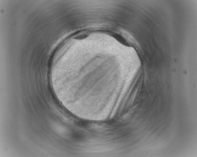 X0000074950346200609291853