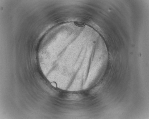 X0000074950347200609291853