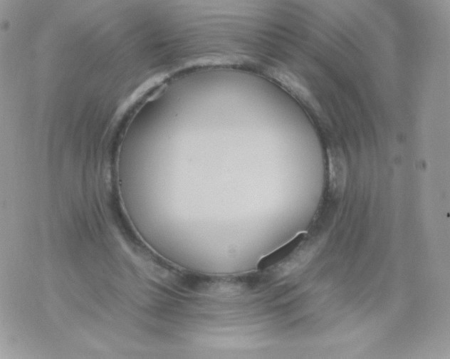 X0000074950348200609291853