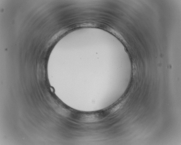 X0000074950349200609291853