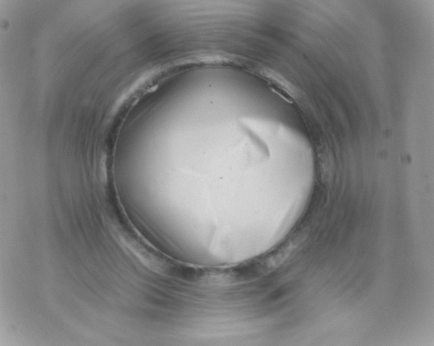 X0000074950350200609291853