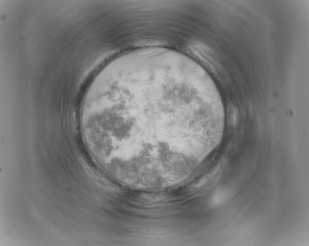 X0000074950351200609291853