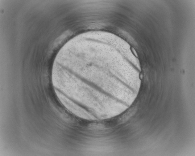 X0000074950354200609291853