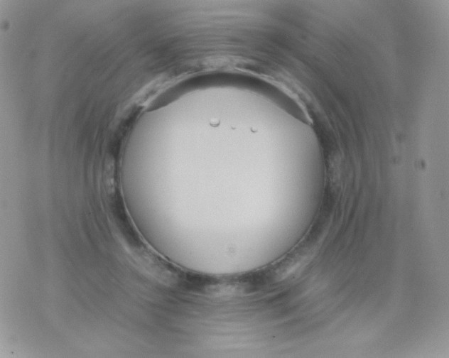 X0000074950356200609291853