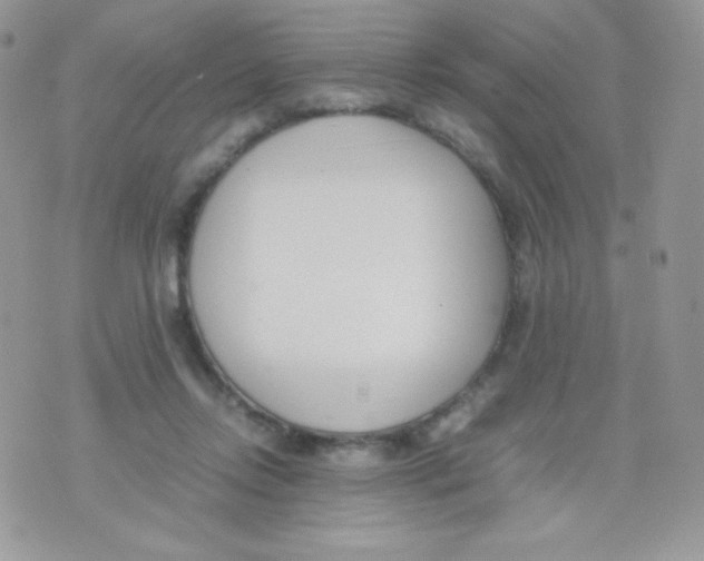 X0000074950358200609291853