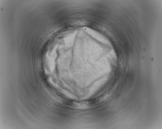 X0000074950359200609291853