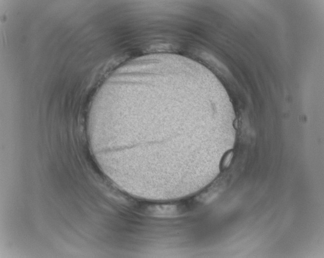 X0000074950361200609291853