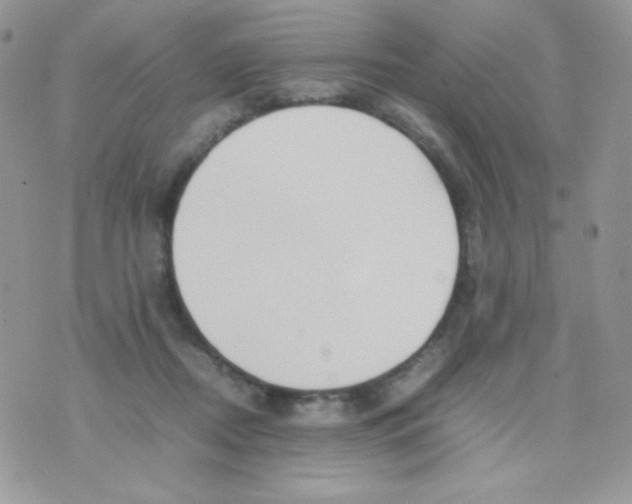 X0000074950362200609291853