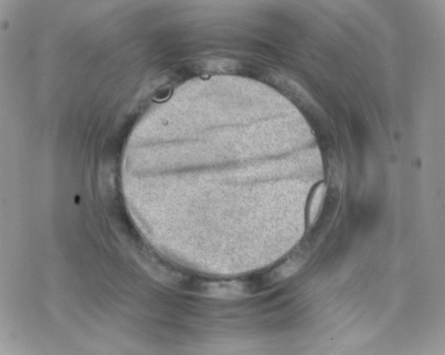 X0000074950363200609291853