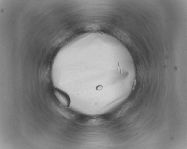 X0000074950364200609291853