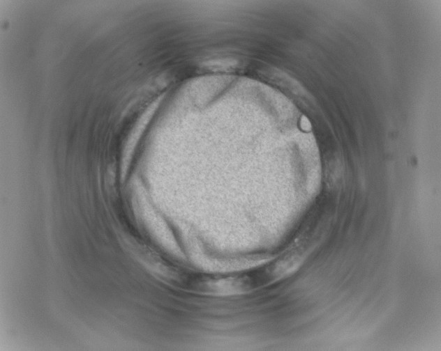 X0000074950365200609291853