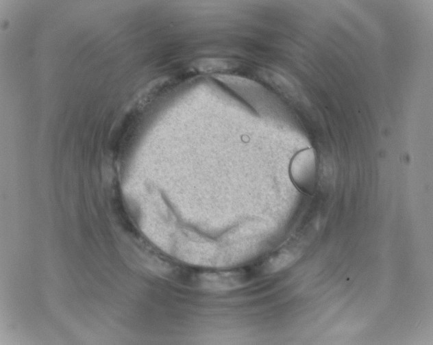 X0000074950367200609291853