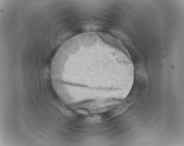 X0000074950369200609291853