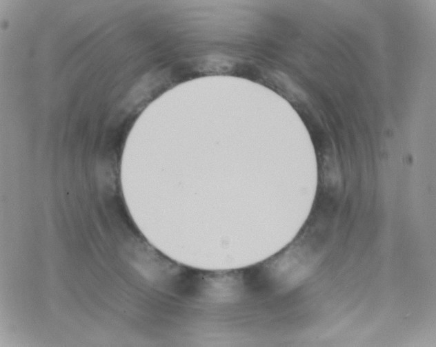 X0000074950370200609291853