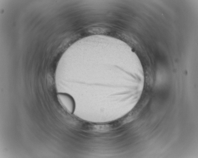 X0000074950371200609291853