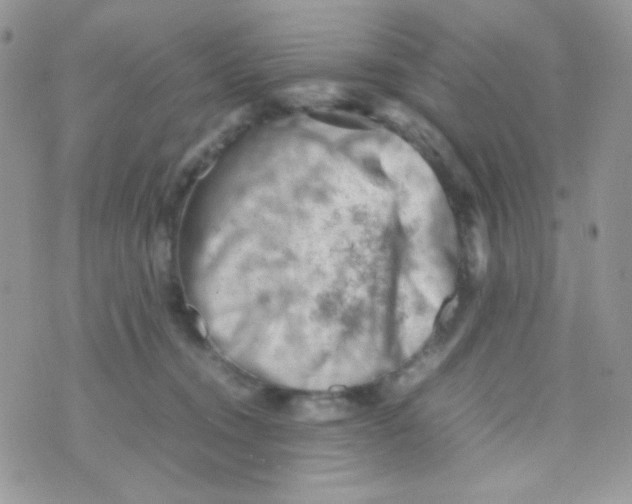 X0000074950372200609291853