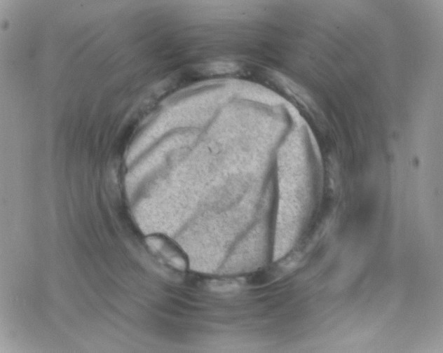 X0000074950373200609291853