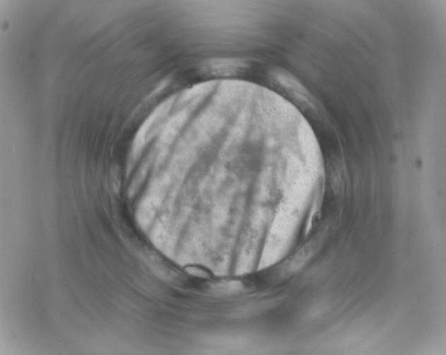 X0000074950374200609291853