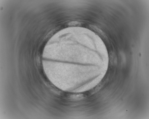 X0000074950375200609291853