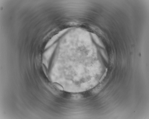 X0000074950376200609291853