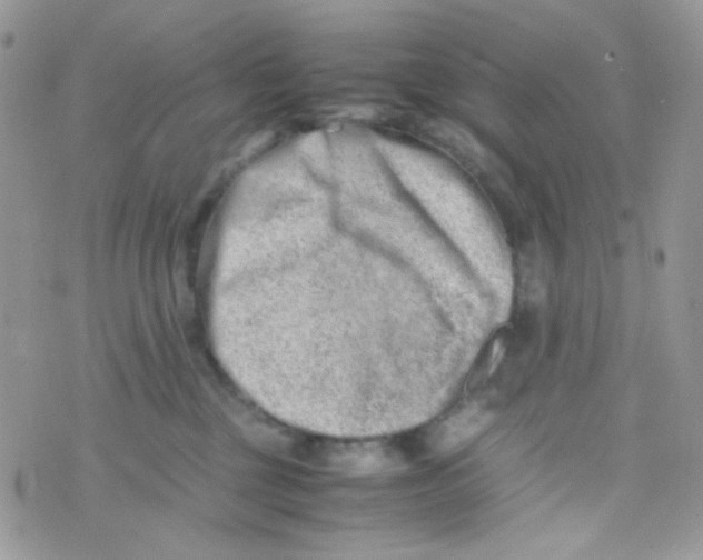 X0000074950377200609291853