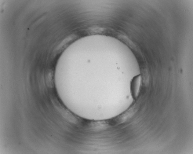 X0000074950378200609291853