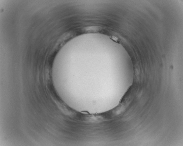 X0000074950379200609291853