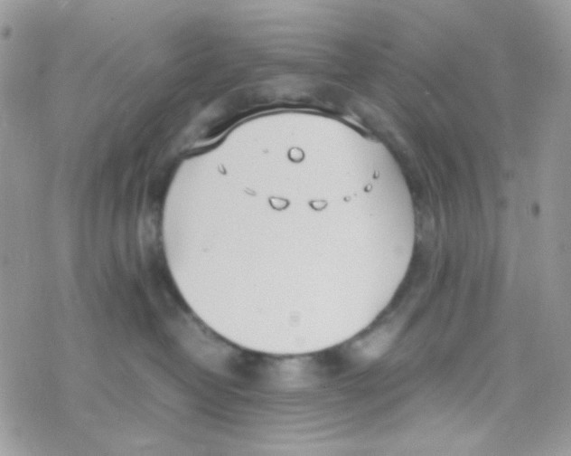 X0000074950382200609291854