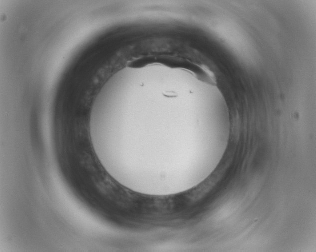 X0000074950383200609291854