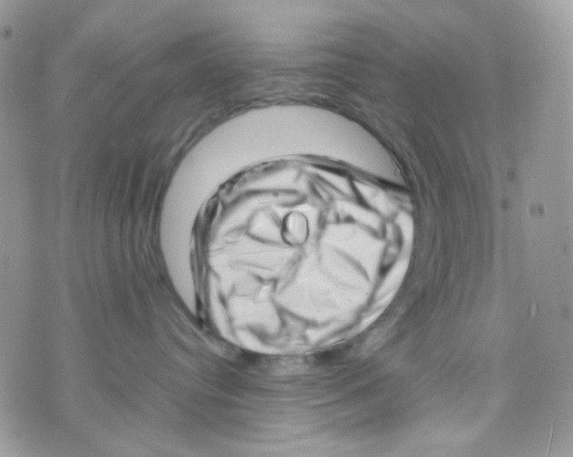 X0000074950384200609291854