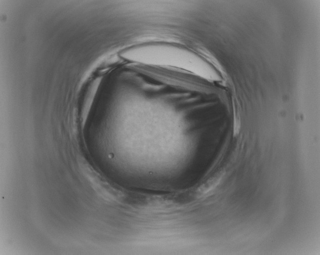 X0000074950387200609291853