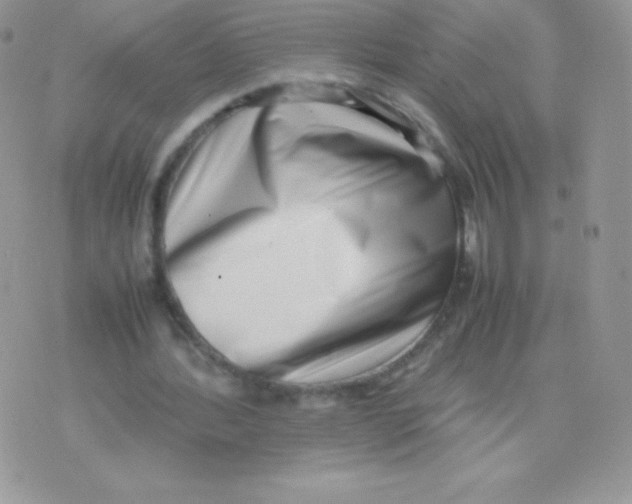 X0000074950388200609291853